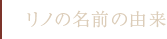 リノの名前の由来