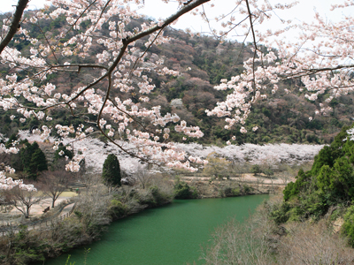 椺ϥκ01 400x300.jpg