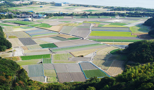 淡路島の画像