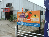 淡路島フルーツ農園 画像