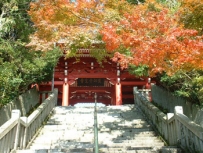 先山 千光寺 画像