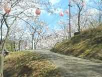 曲田山公園 画像