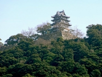 洲本城跡 画像