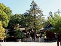 伊弉諾神宮 画像